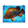Tripletail
