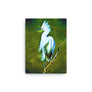 Plume