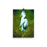 Plume