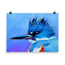 Kingfisher