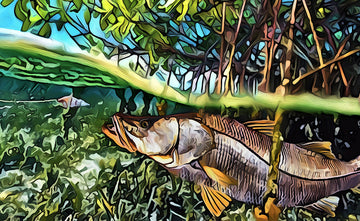 The Goodbye Snook