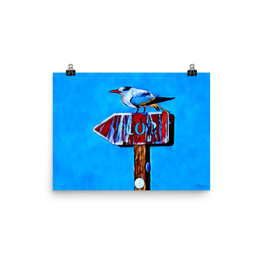 Left Tern