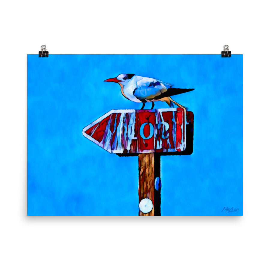 Left Tern