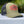 Lostman's River Trucker Hat