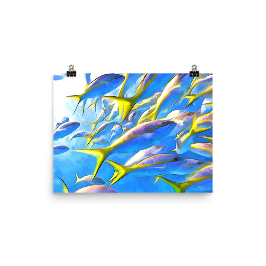 Yellowtails