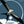 Swallow-Tailed Kite T-Shirt